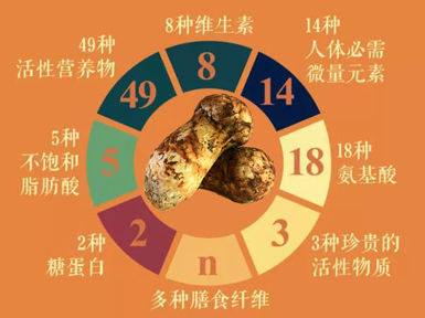 松茸的功效作用與營(yíng)養(yǎng)價(jià)值 松茸的功效作用與營(yíng)養(yǎng)價(jià)值