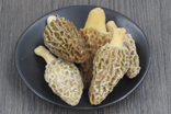 冰凍羊肚菌批發(fā)價(jià)格