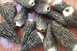 干羊肚菌價(jià)格