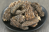 干野生羊肚菌價(jià)格