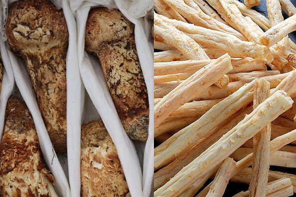 沙參可以和松茸一起燉雞嗎，松茸炒完為什么會(huì)苦