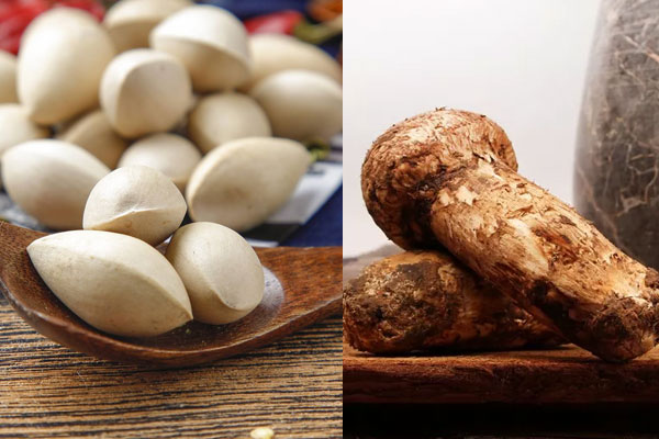 白果和松茸可以一起燉雞嗎，松茸能和黃芪一起燉嗎