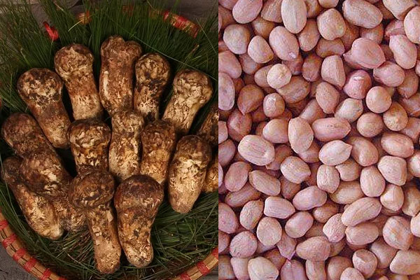 松茸能和花生一起燉嗎，松茸能和竹蓀一起燉嗎