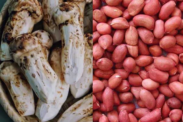 松茸可以和花生一起煲湯嗎，松茸能和莧菜一起吃嗎