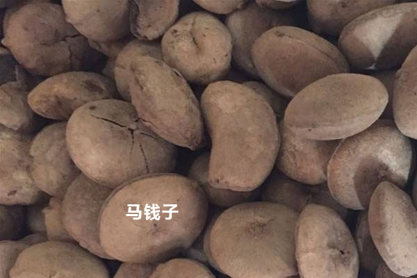 嚴禁用來泡酒的中藥材 嚴禁用來泡酒的中藥材