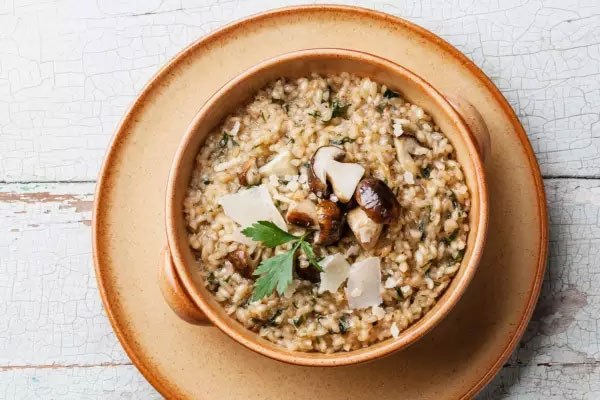 牛肝菌長了白色的霉還可以吃嗎