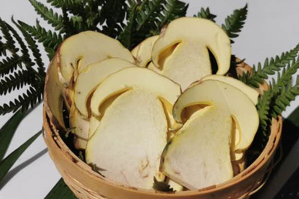 什么人適合吃牛肝菌