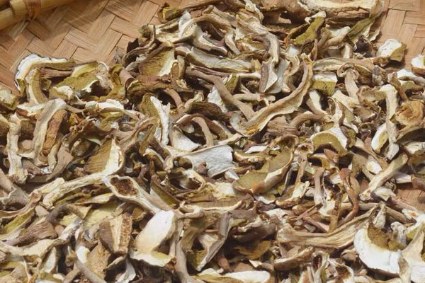 干牛肝菌能去火嗎