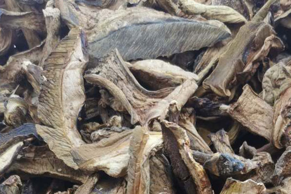 干牛肝菌的保存方法