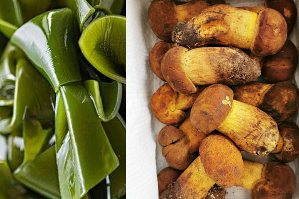 牛肝菌可以和海帶一起吃嗎，牛肝菌燉雞湯的注意事項(xiàng)