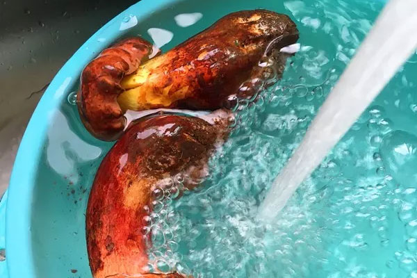 荷蘭豆涼拌牛肝菌的功效作用與營(yíng)養(yǎng)價(jià)值