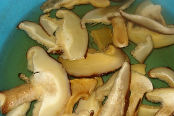 牛肝菌炒韭菜的做法竅門