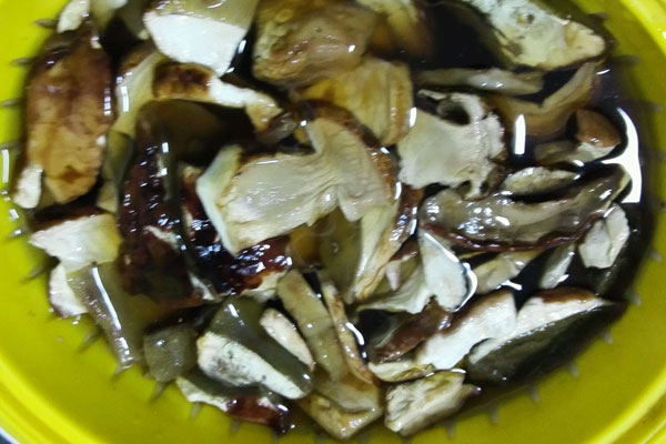 泡發(fā)后干牛肝菌的水能用來(lái)干什么