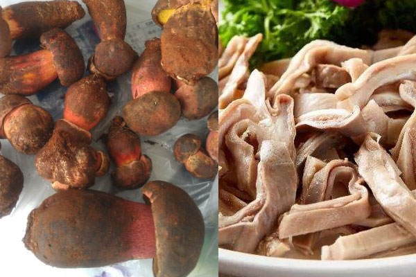 牛肝菌可以和豬肚一起吃嗎