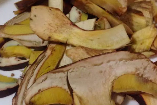 鯰魚(yú)燉牛肝菌的功效作用與營(yíng)養(yǎng)價(jià)值