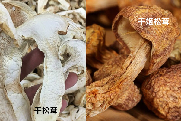 干松茸跟干姬松茸有哪些區(qū)別