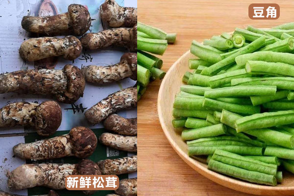 松茸能和豆角一起燉嗎