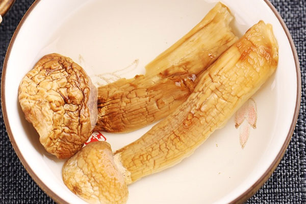 泡干松茸的水要倒掉嗎