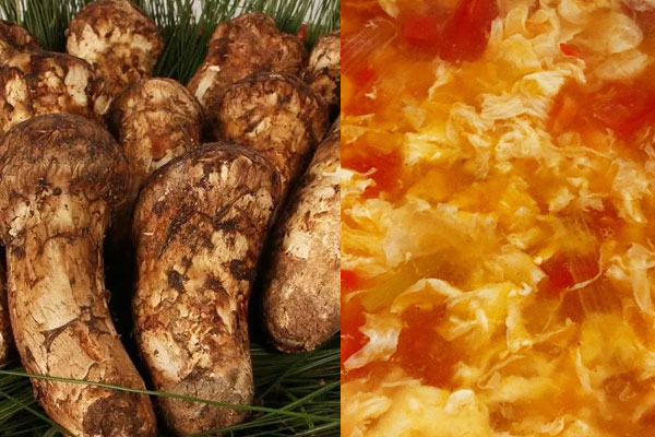 松茸西紅柿雞蛋能一起吃嗎 松茸西紅柿雞蛋能一起吃嗎