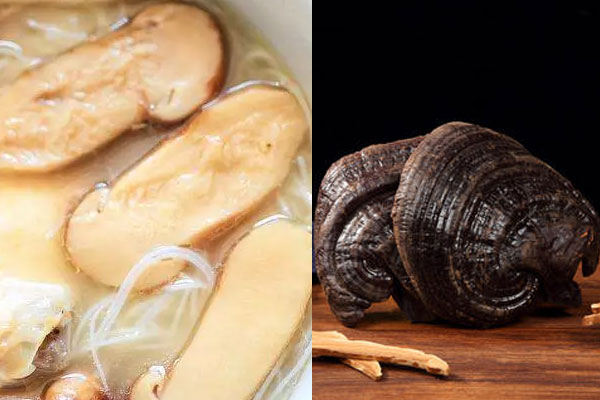 松茸與靈芝哪個抗癌功效好 松茸與靈芝哪個抗癌功效好