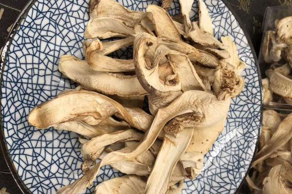 干松茸可以泡酒嗎 干松茸可以泡酒嗎