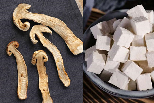 干松茸能和茯苓一起燉湯嗎