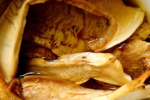 干松茸能直接煮水喝嗎