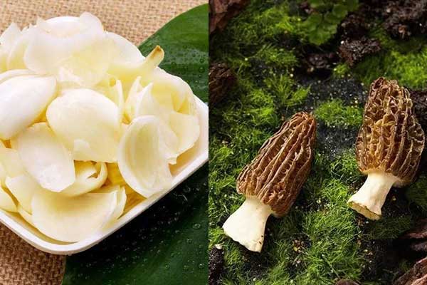 羊肚菌可以和百合一起煲湯嗎 羊肚菌可以和百合一起煲湯嗎