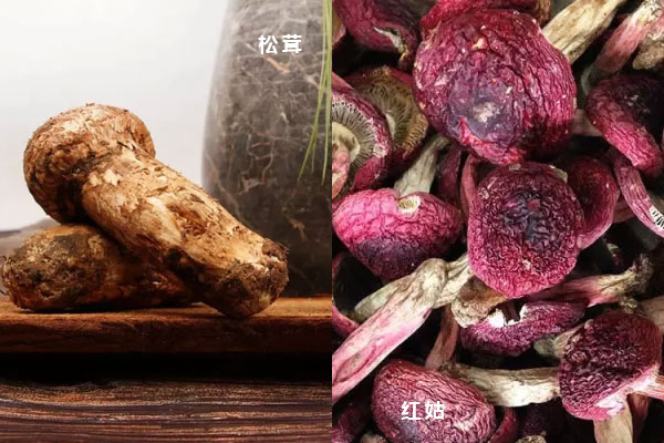 松茸和紅菇哪個(gè)營(yíng)養(yǎng)高，松茸貴還是紅菇貴