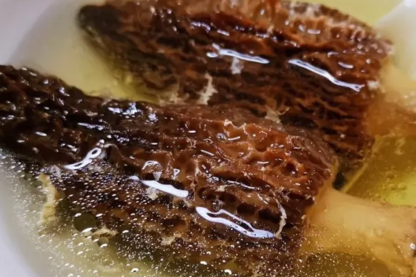 羊肚菌燉湯要焯水嗎 羊肚菌燉湯要焯水嗎