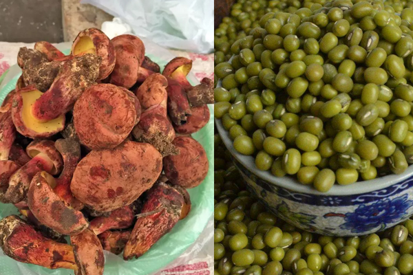 牛肝菌和綠豆可以一起吃嗎 牛肝菌和綠豆可以一起吃嗎