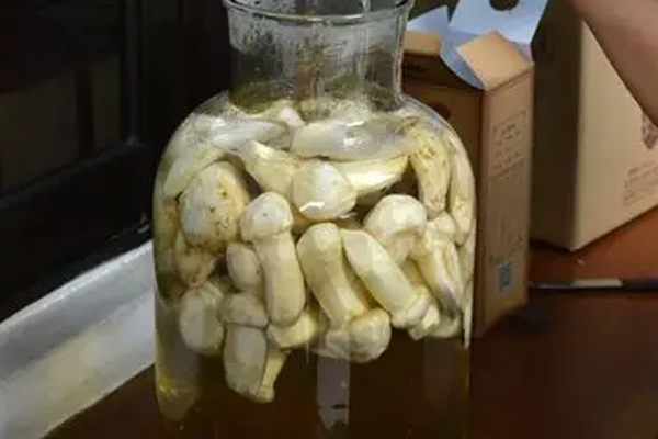 干松茸片怎么泡酒 干松茸片怎么泡酒