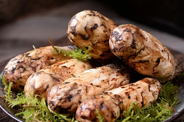 松茸可以補(bǔ)血嗎，松茸怎么吃效果最好