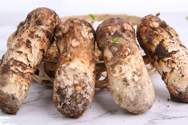 宮寒能吃松茸嗎 宮寒能吃松茸嗎