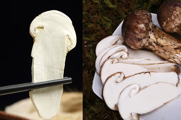 松茸干去皮好還是不去皮好，松茸是干的還是濕的更有營(yíng)養(yǎng)