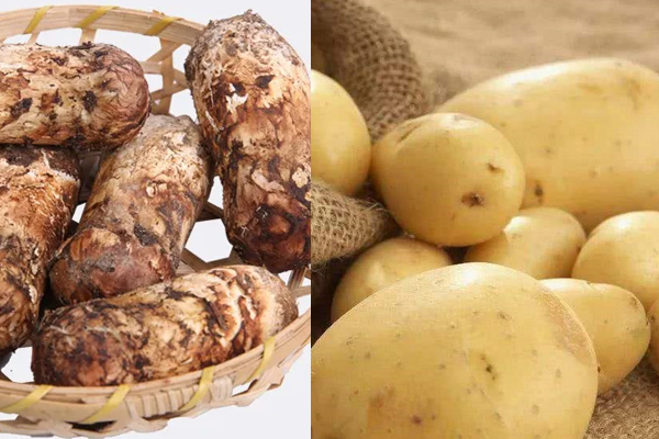 松茸可以和馬鈴薯一起吃嗎 松茸可以和馬鈴薯一起吃嗎