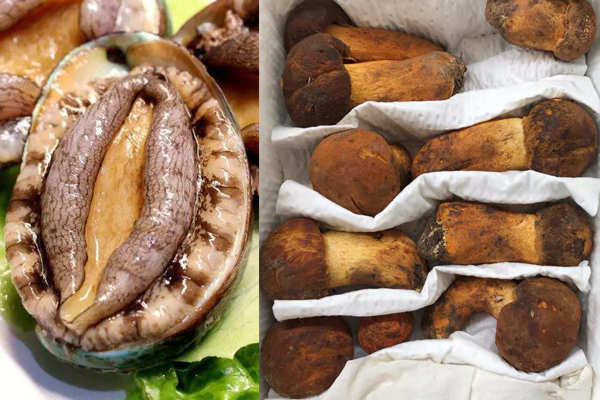 牛肝菌和鮑魚(yú)能一起吃嗎，牛肝菌能和羊肉一起燉嗎