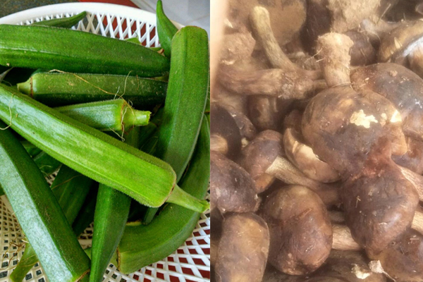 牛肝菌可以油炸嗎，秋葵能和牛肝菌同吃嗎
