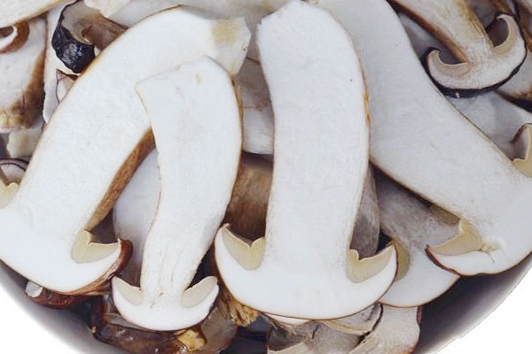 美味牛肝菌有毒性嗎 美味牛肝菌有毒性嗎