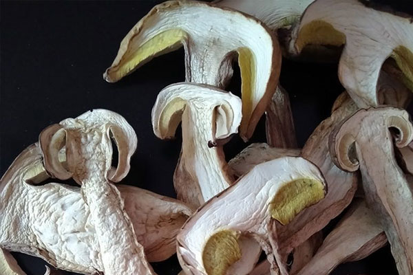 美味牛肝菌曬干了還有營(yíng)養(yǎng)嗎 美味牛肝菌曬干了還有營(yíng)養(yǎng)嗎