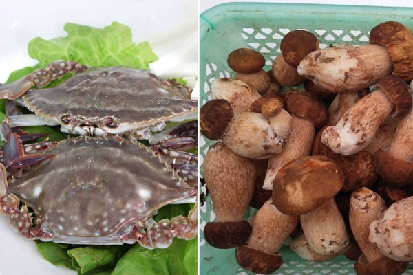 牛肝菌和螃蟹可以一起吃嗎 牛肝菌和螃蟹可以一起吃嗎