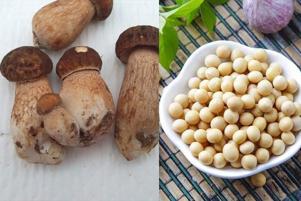 牛肝菌和黃豆可以一起吃嗎，吃完牛肝菌可以喝牛奶嗎