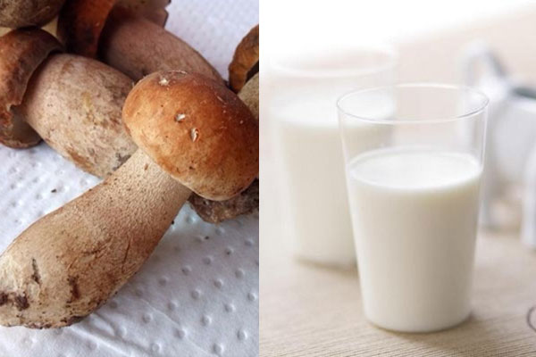 吃完牛肝菌后能喝牛奶嗎 吃完牛肝菌后能喝牛奶嗎