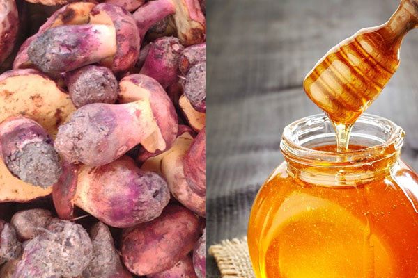 吃了牛肝菌可以喝蜂蜜水嗎，吃了牛肝菌可以吃桃子嗎