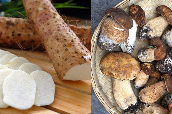 牛肝菌和山藥可以一起吃嗎，牛肝菌怎么做最好吃