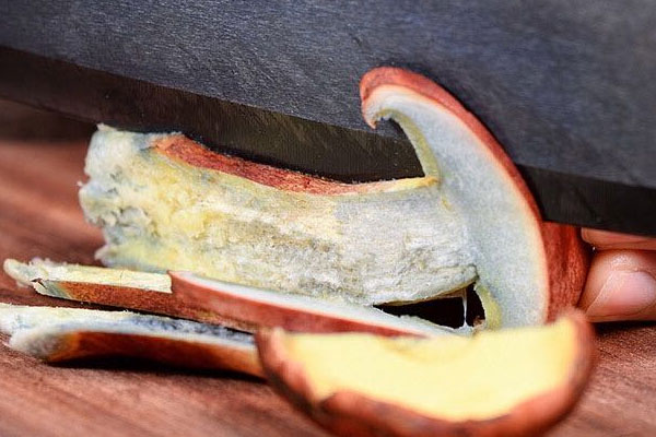 牛肝菌尿酸高的人能吃嗎 牛肝菌尿酸高的人能吃嗎