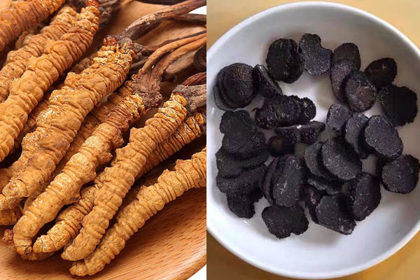 黑松露可以和蟲(chóng)草一起泡酒嗎