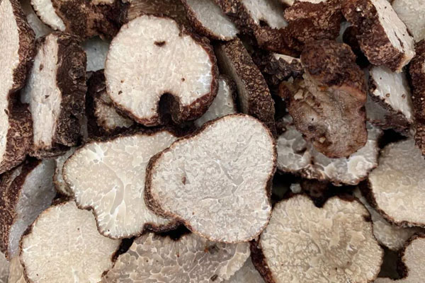 黑松露能人工種植嗎 黑松露能人工種植嗎