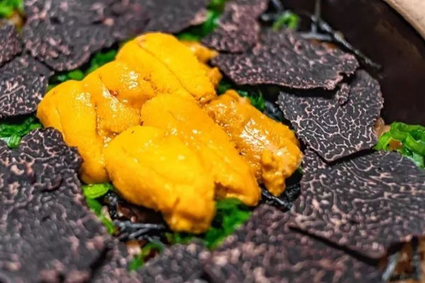 松露蒸海膽不能和哪些食物一起吃 松露蒸海膽不能和哪些食物一起吃