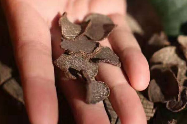 常吃松露可以抗疲勞嗎，黑松露餃子可以放冰箱多久